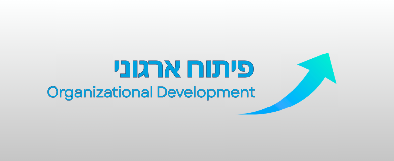 פיתוח ארגוני