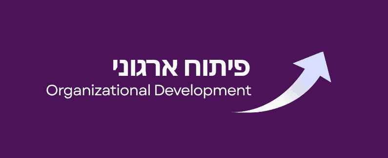 פיתוח ארגוני