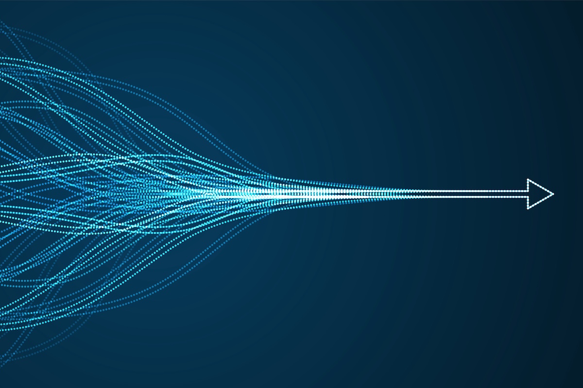 הטמעה וליווי ארגוני